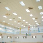 d24a08e5-0c91-4c74-8059-277967e8fb53